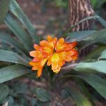 20230809-_MG_4263-Edit-Edit